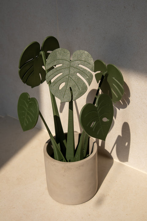A mess-free plant