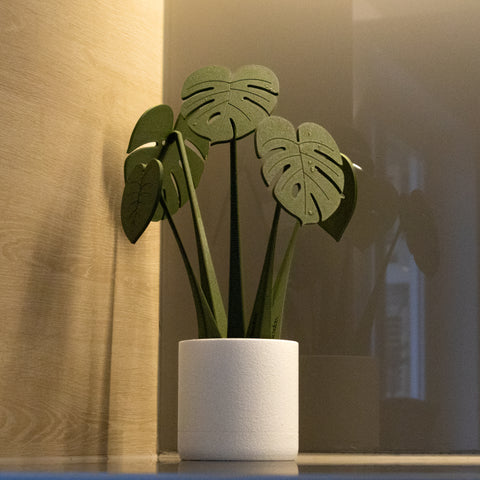 Coastera Planter