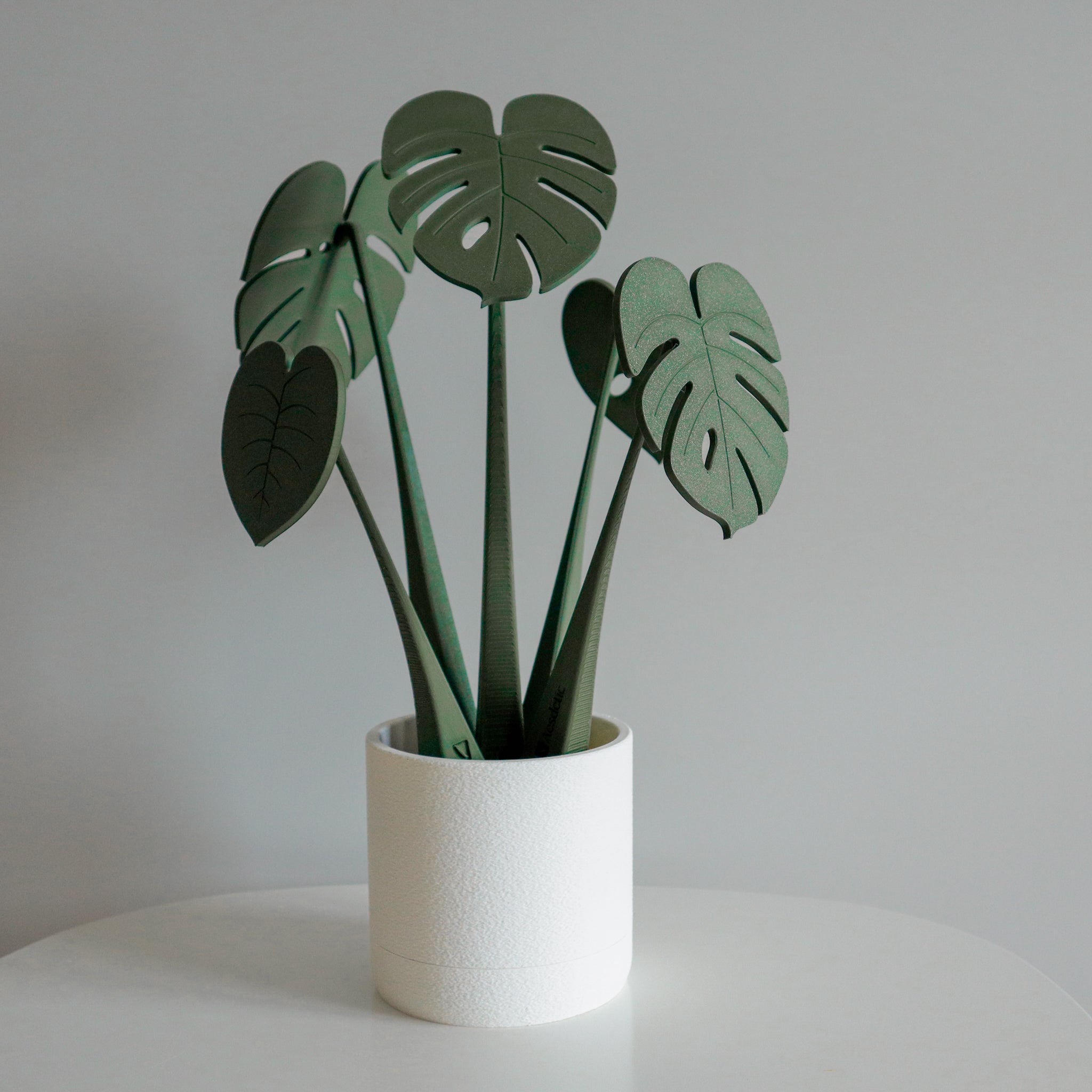 monstera coaster plant Coastera Bundle | Coastera Monstera Coasters & Planter