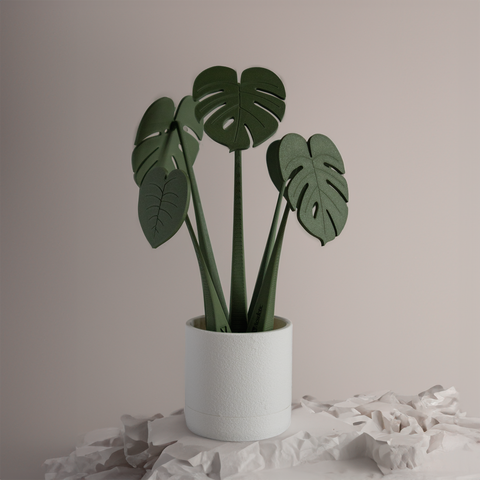 Coastera Planter