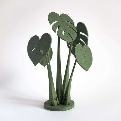 Coastera - Monstera Coasters - Aesdetic