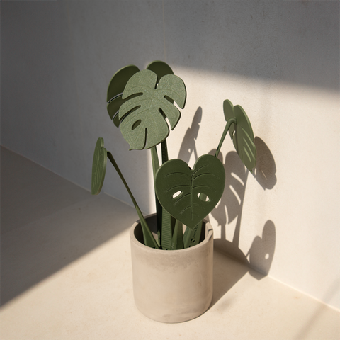 Coastera - Monstera Coasters - Aesdetic