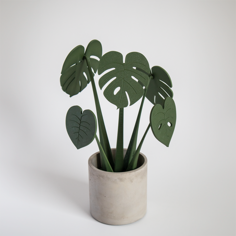Coastera - Monstera Coasters - Aesdetic