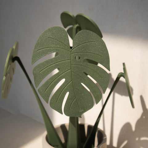 Leaf 4 of Coastera, the biggest leaf on Costaera.