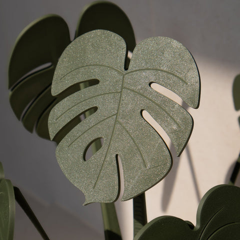 Leaf 3 of Coastera, a close look of the Monstera Plant Coaster under the sun