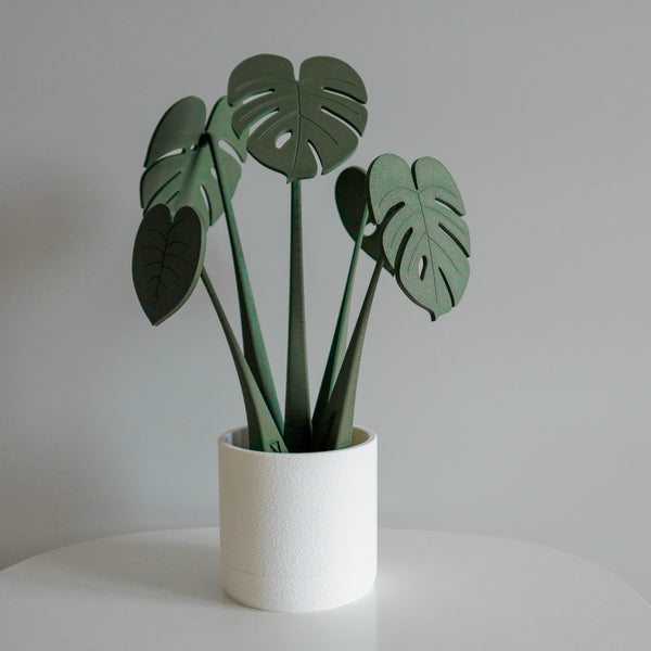 monstera coaster plant Coastera Bundle | Coastera Monstera Coasters & Planter
